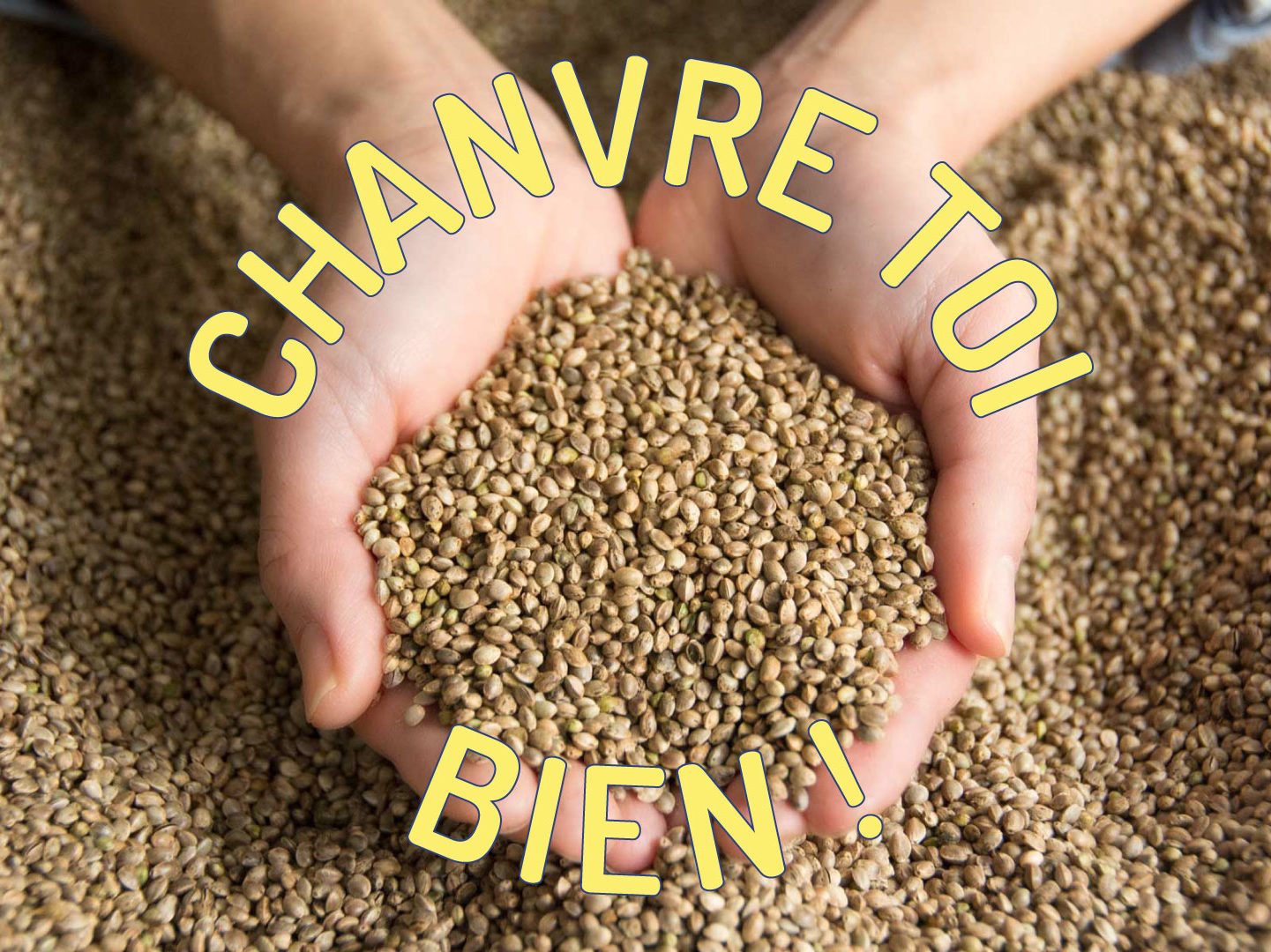 CHANVRE TOI BIEN  – Interview avec l’équipe FAAAT – Episode 1