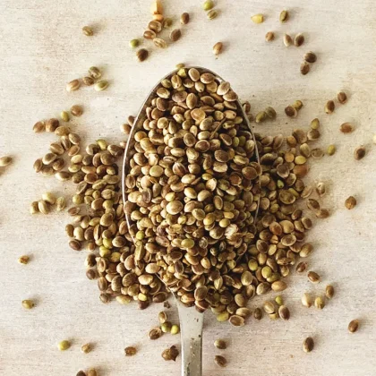 Graines de chanvre complètes