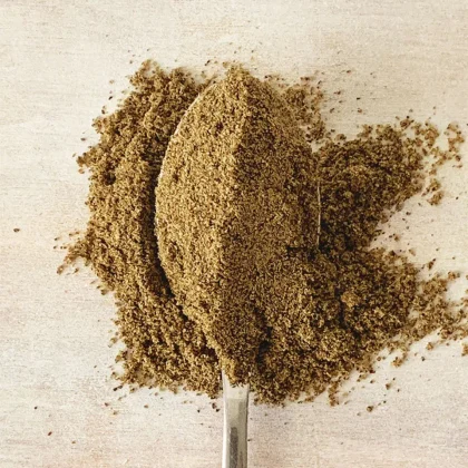 Protéine de chanvre germée