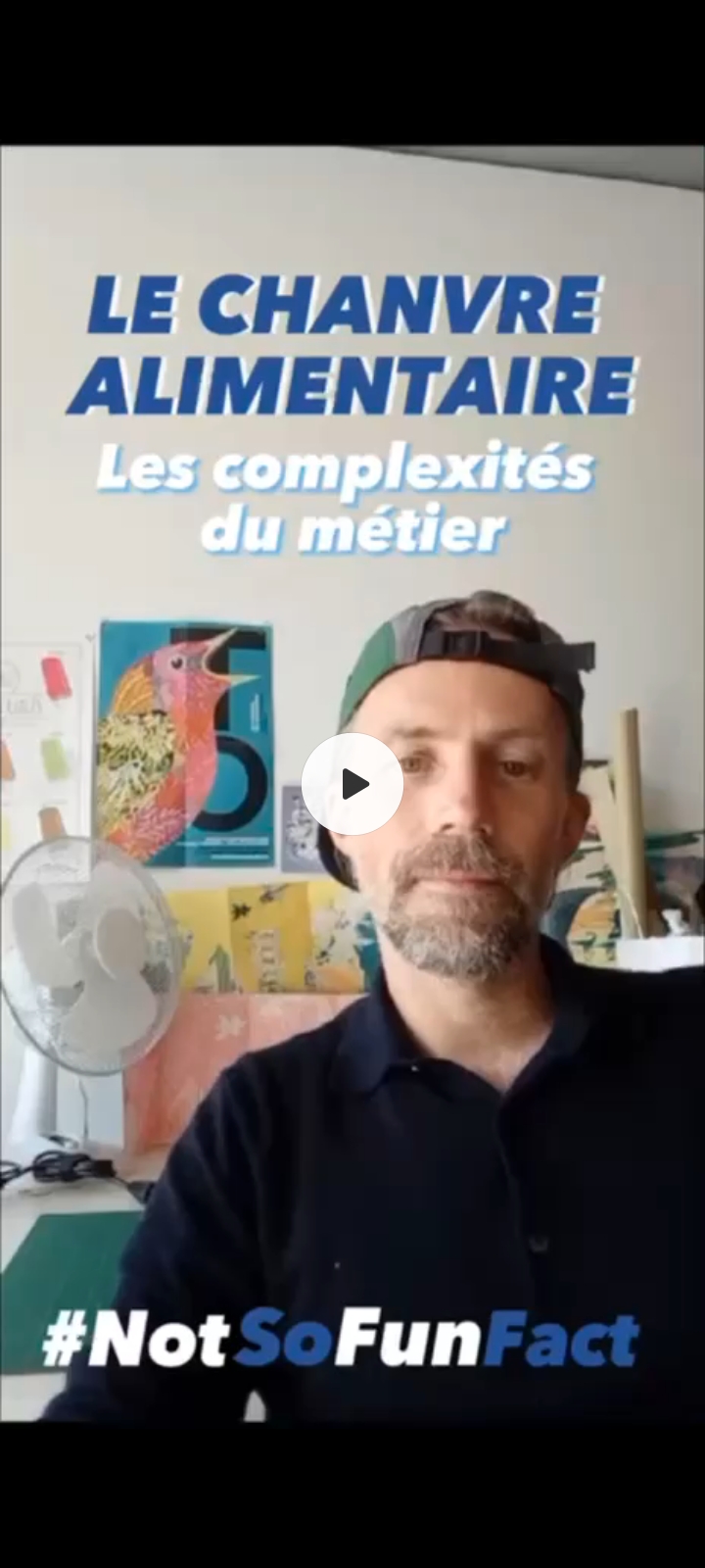 Se lancer dans le chanvre alimentaire : défis et complexités