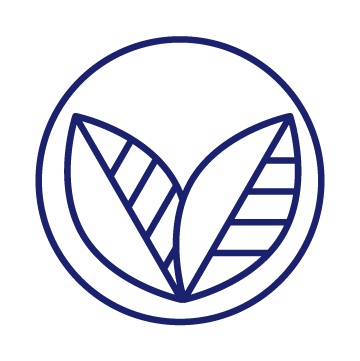 bienvenue 16 icon konoi 17