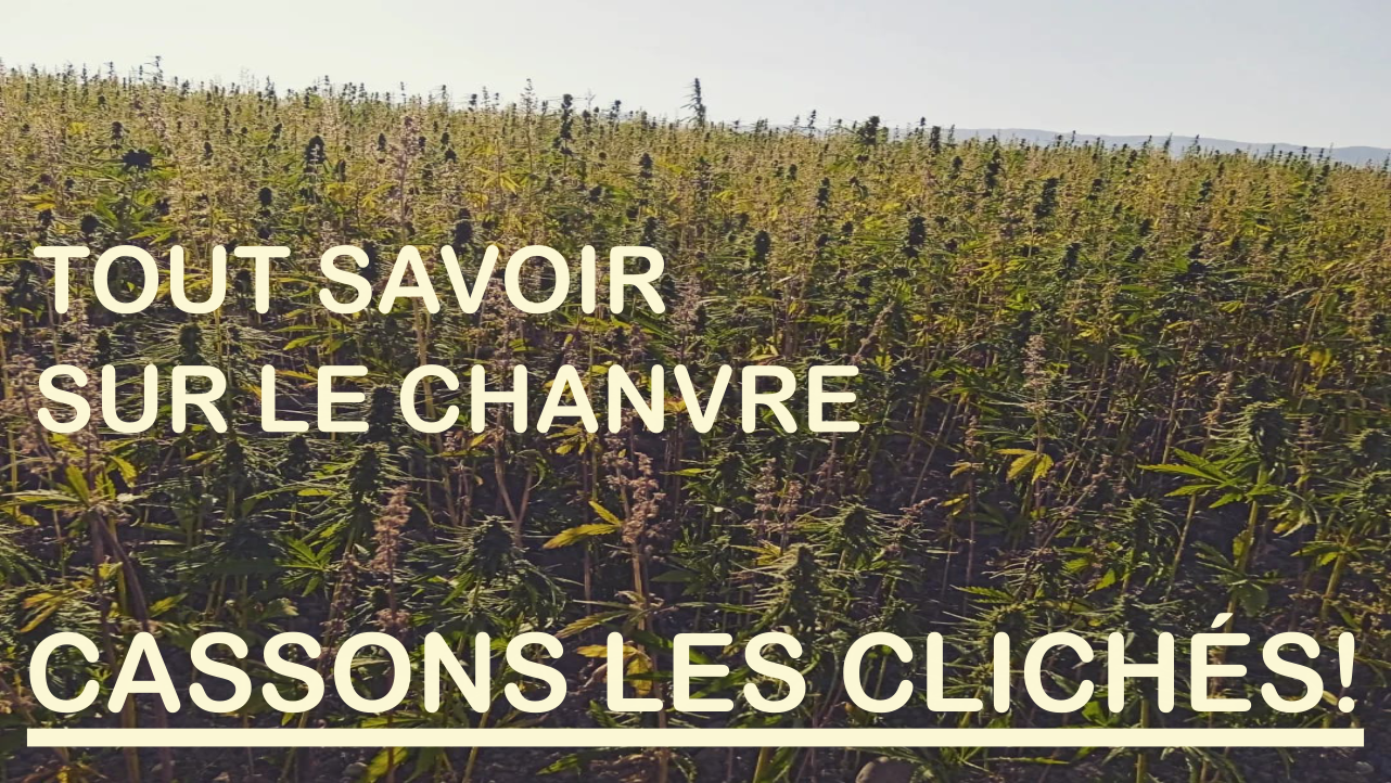 A la découverte du chanvre 6 Hemp Story Thumbnail