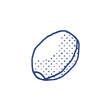Okaratorte 6 icon konoi seed 1